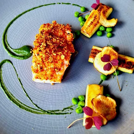 أكاديمي بلازا فندق دبلن