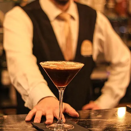 أكاديمي بلازا فندق دبلن