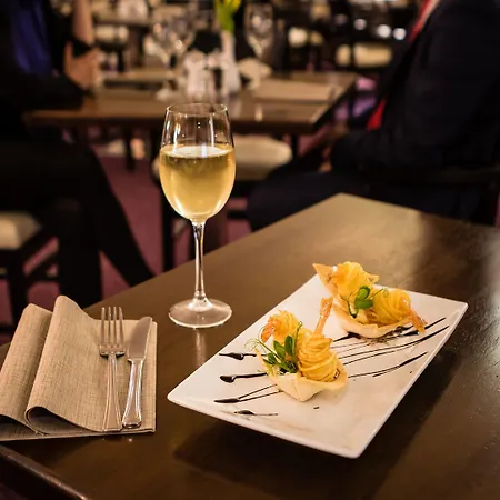 فندق أكاديمي بلازا 3*