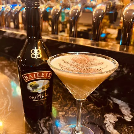 فندق أكاديمي بلازا 3*